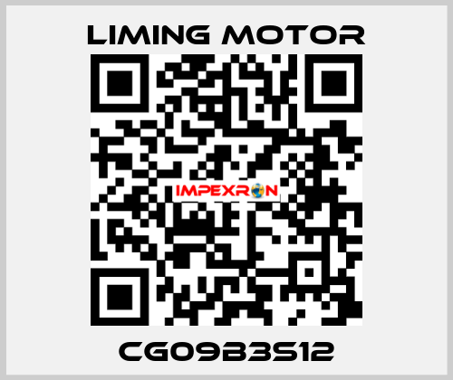 CG09B3S12 Liming Motor