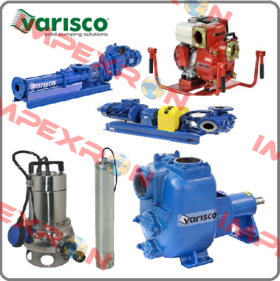 V30-2 Varisco pumps