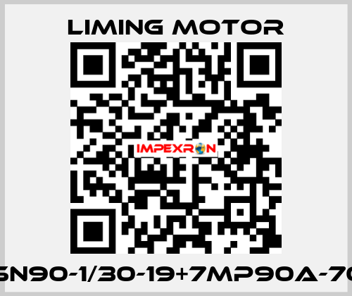 LM-SN90-1/30-19+7MP90A-70-A2 Liming Motor