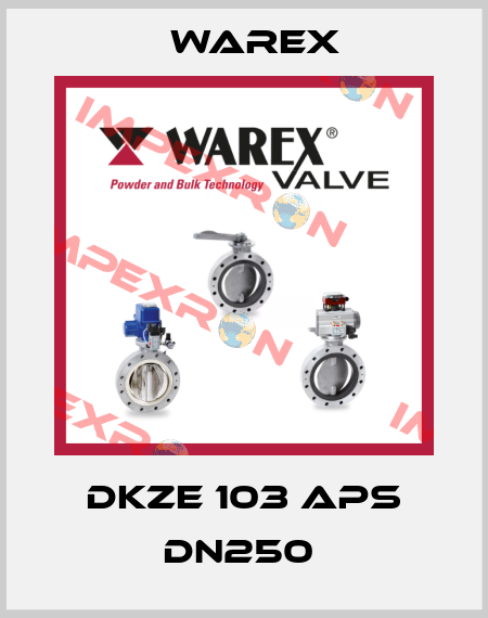 DKZE 103 APS DN250  Warex