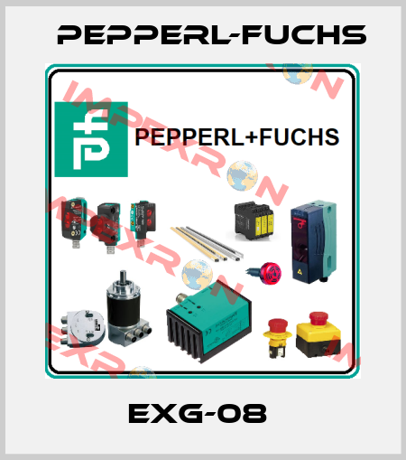EXG-08  Pepperl-Fuchs