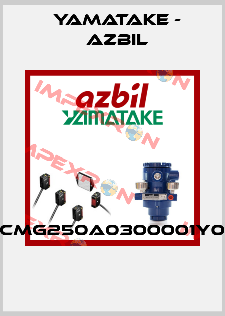 CMG250A0300001Y0  Yamatake - Azbil