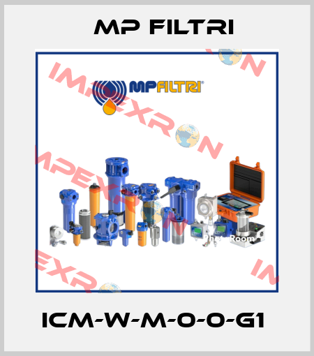 ICM-W-M-0-0-G1  MP Filtri