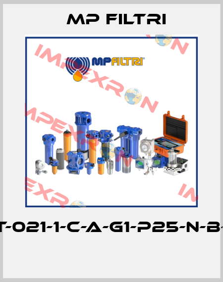 MPT-021-1-C-A-G1-P25-N-B-P01  MP Filtri