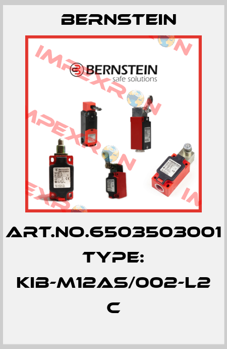 Art.No.6503503001 Type: KIB-M12AS/002-L2             C Bernstein