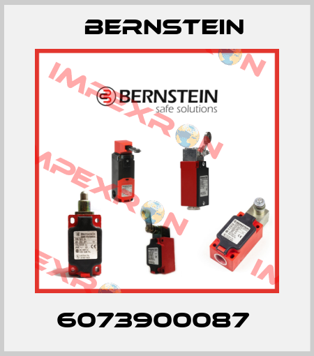 6073900087  Bernstein