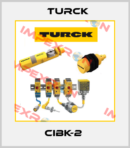 CIBK-2  Turck
