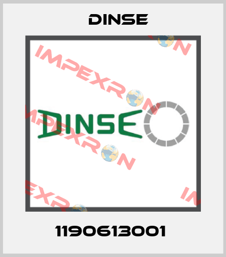 1190613001  Dinse