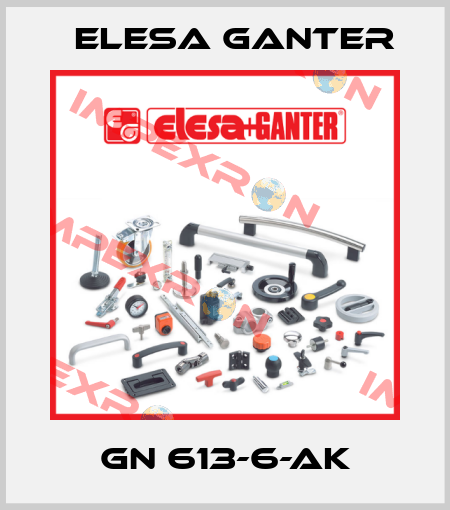 GN 613-6-AK Elesa Ganter