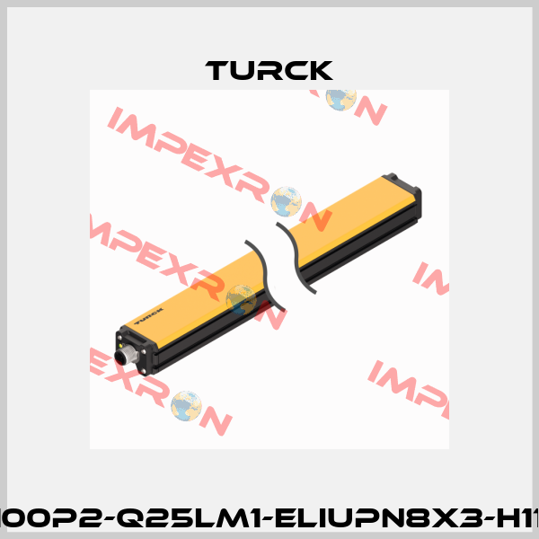 LI100P2-Q25LM1-ELIUPN8X3-H1151 Turck