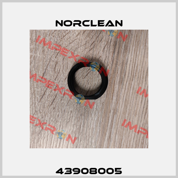 43908005 Norclean