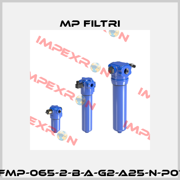 FMP-065-2-B-A-G2-A25-N-P01 MP Filtri