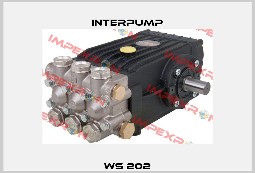 WS 202 Interpump