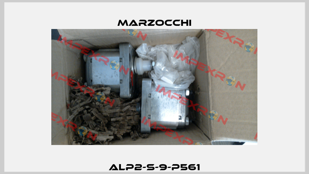 ALP2-S-9-P561 Marzocchi